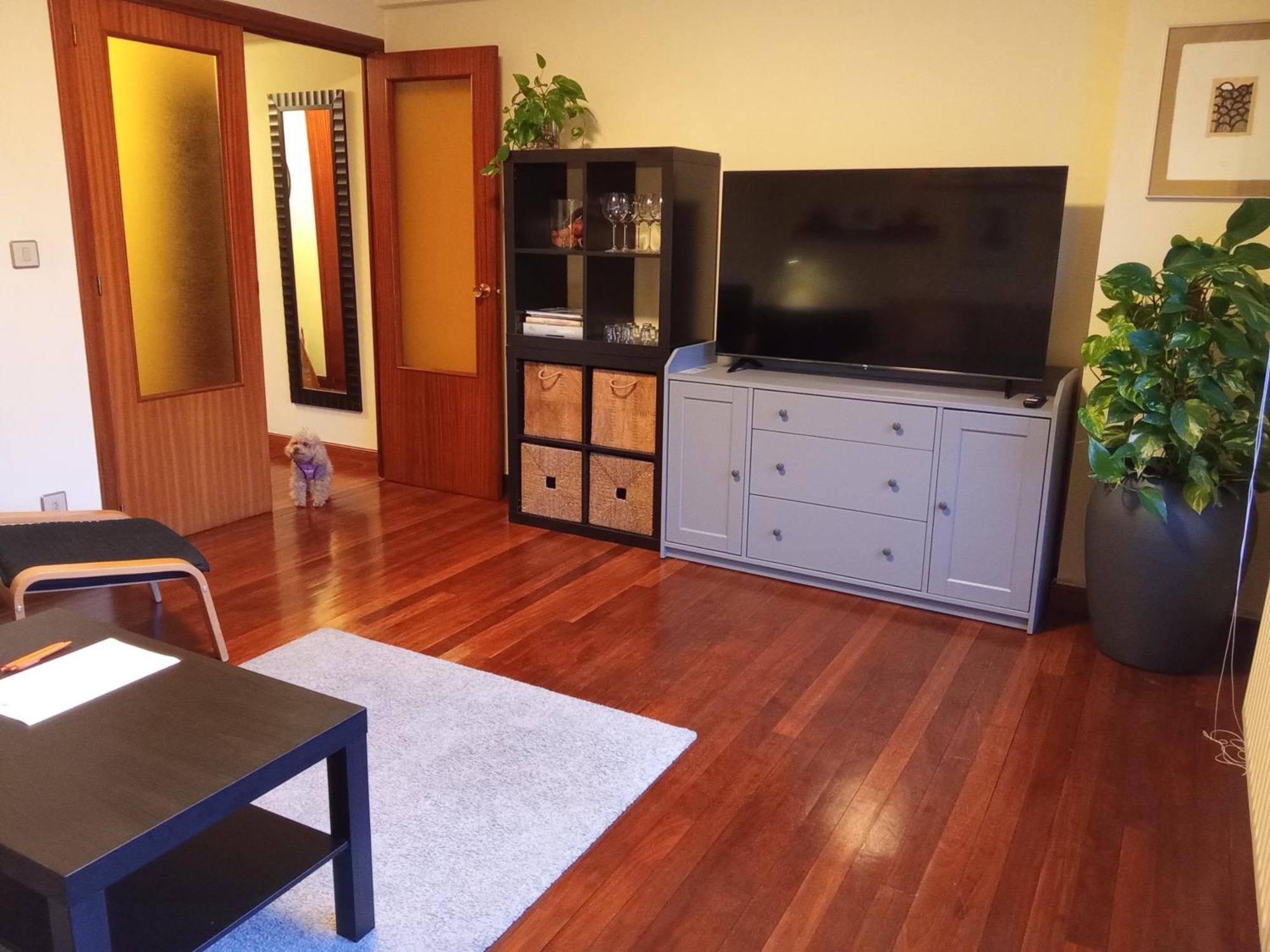Andramari Tourist Home Parking& Wifi Amorebieta-Echano Exterior foto